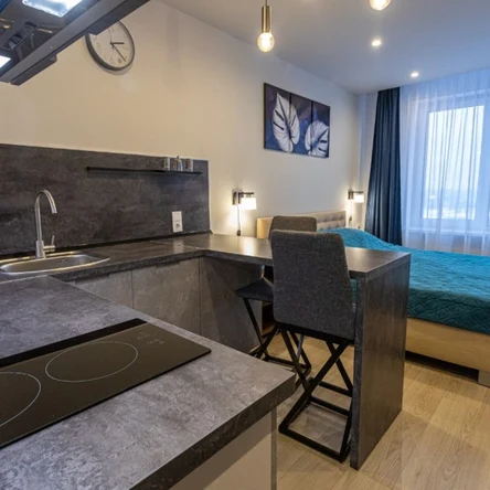 Апартаменты с двуспальной кроватью